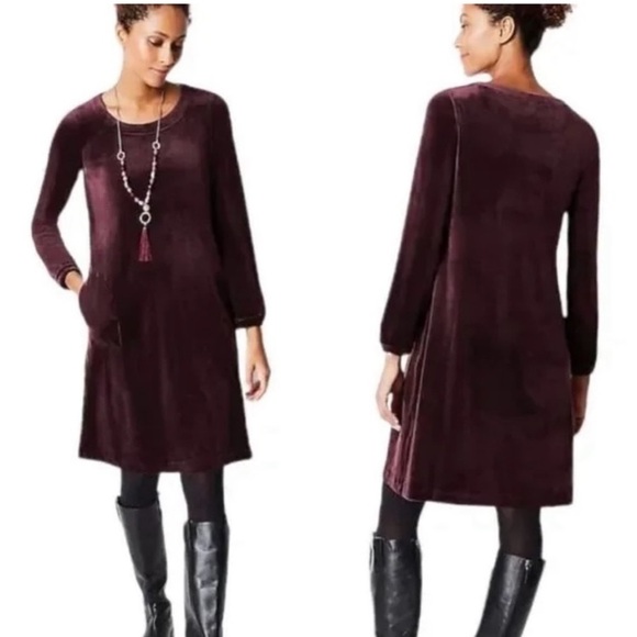 J. Jill Dresses & Skirts - J. Jill Pure Jill Women’s velvet long sleeve crew shift dress tunic plum large!